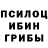 Галлюциногенные грибы Psilocybine cubensis 16 INA