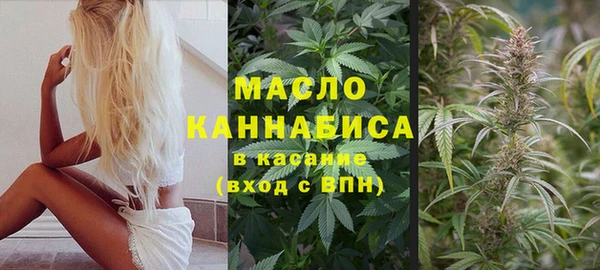 молекула духа Бронницы