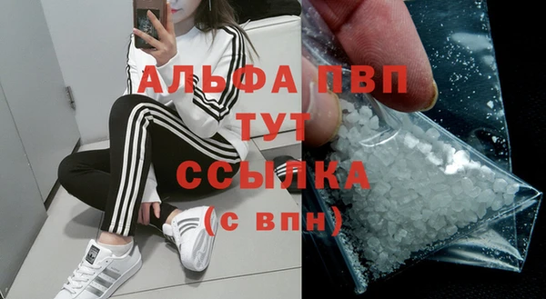 молекула духа Бронницы