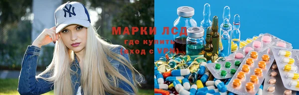 мяу мяу мука Бугульма