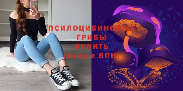 МДПВ Белокуриха