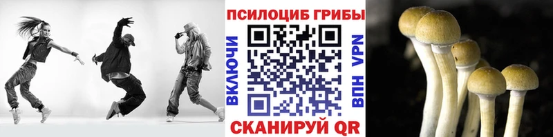 дарк нет Telegram  Горняк  Псилоцибиновые грибы прущие грибы  цены  
